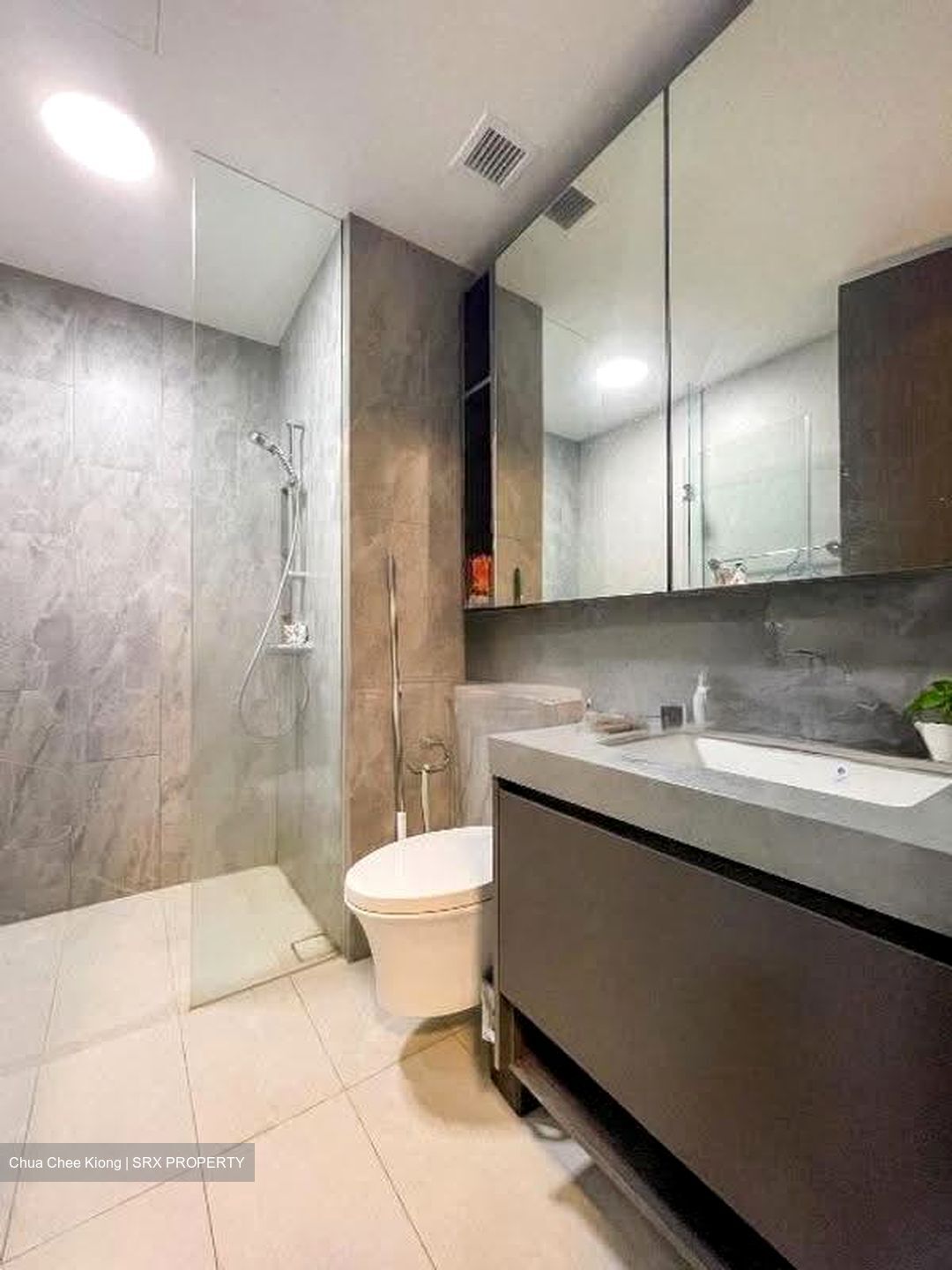 Parc Clematis (D5), Apartment #611412851
